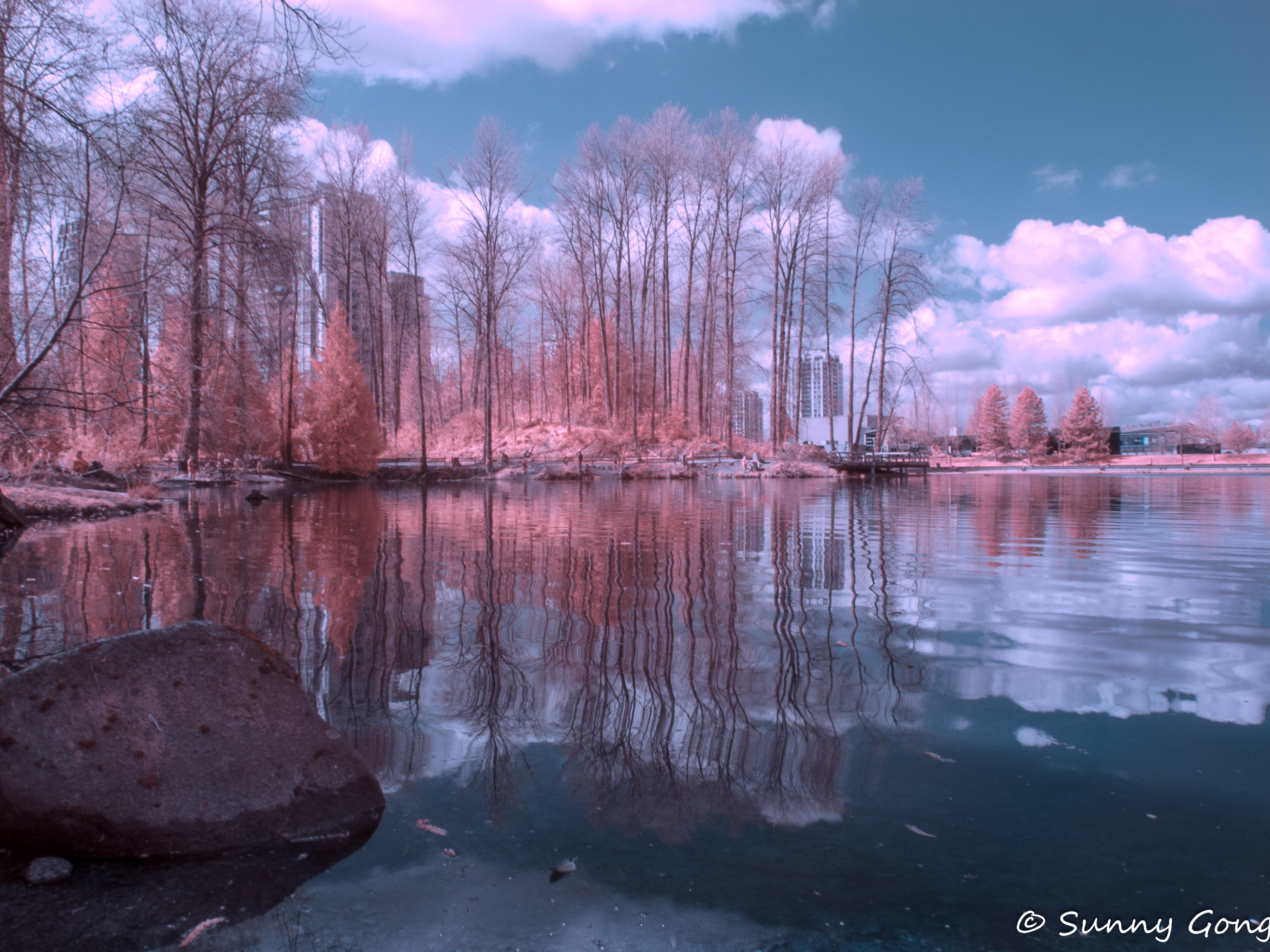 Landscape